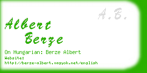 albert berze business card